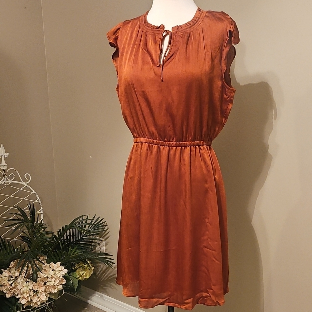 Old Navy Ruffled Sleeveless Dress